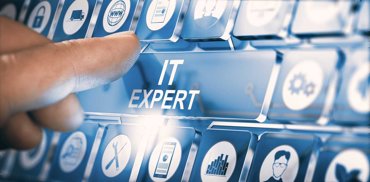 IT Expert Services